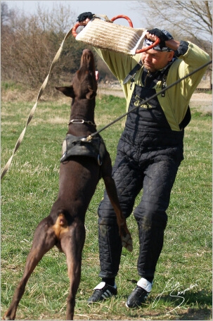 Training in Prague - 2. 4. 2008